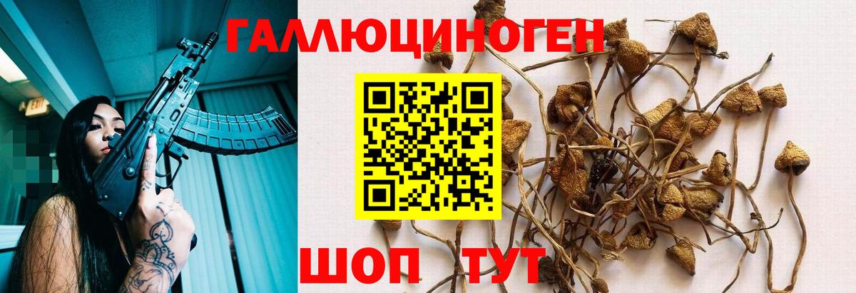 цена наркотик  Вход с VPN  Зеленодольск  Галлюциногенные грибы мицелий 