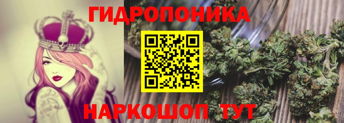 Бошки Шишки ГИДРОПОН  Вход с VPN  Зеленодольск  Каннабис семена  МАРИХУАНА планчик 